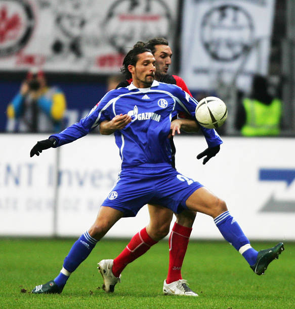 的集中也意 的集中也意